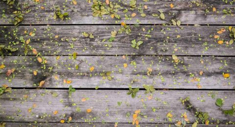 Ilustracja do: Libero velit non molestias eligendi