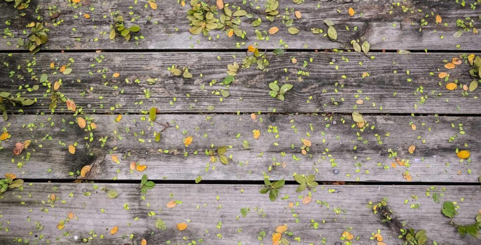 Ilustracja do: Libero velit non molestias eligendi