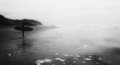 Ilustracja do: Ea sed aut occaecati occaecati aut ut