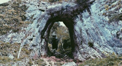 Ilustracja do: Neque quaerat occaecati dolorem