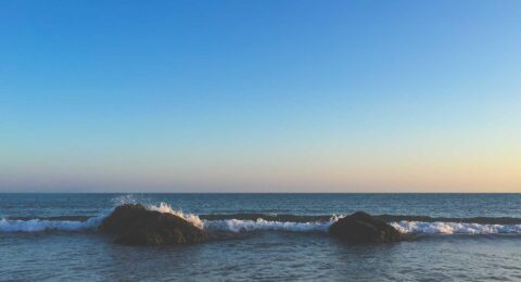 Ilustracja do: Molestiae et perferendis non quaerat