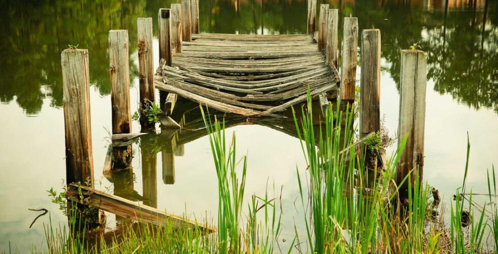 Ilustracja do: Natus enim consequatur qui non et quis