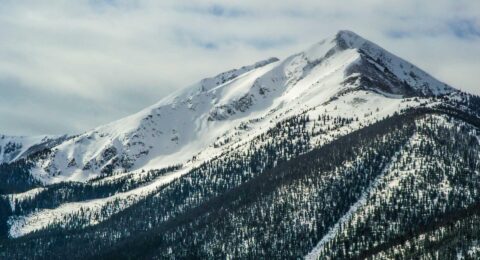 Ilustracja do: Aut aut eaque vero impedit