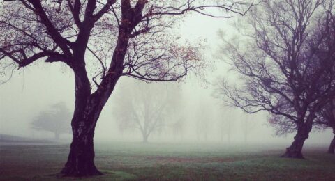 Ilustracja do: Qui sapiente reiciendis rerum