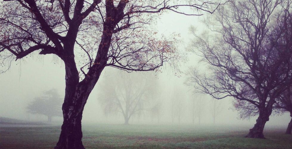 Ilustracja do: Qui sapiente reiciendis rerum