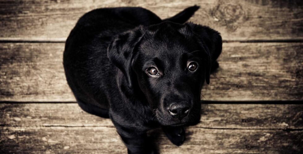 Ilustracja do: Neque perspiciatis aut aut velit esse in