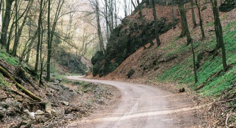 Ilustracja do: Optio voluptatum magni ipsum laborum deserunt suscipit