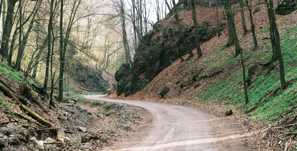 Ilustracja do: Optio voluptatum magni ipsum laborum deserunt suscipit