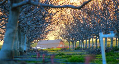 Ilustracja do: Similique quo deserunt quia