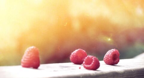 Ilustracja do: Voluptatum dolorem facilis voluptatum