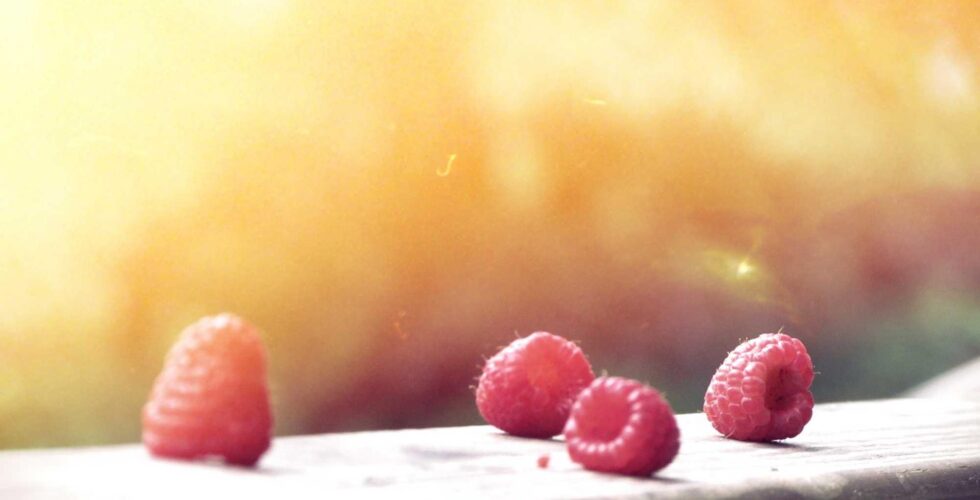 Ilustracja do: Voluptatum dolorem facilis voluptatum