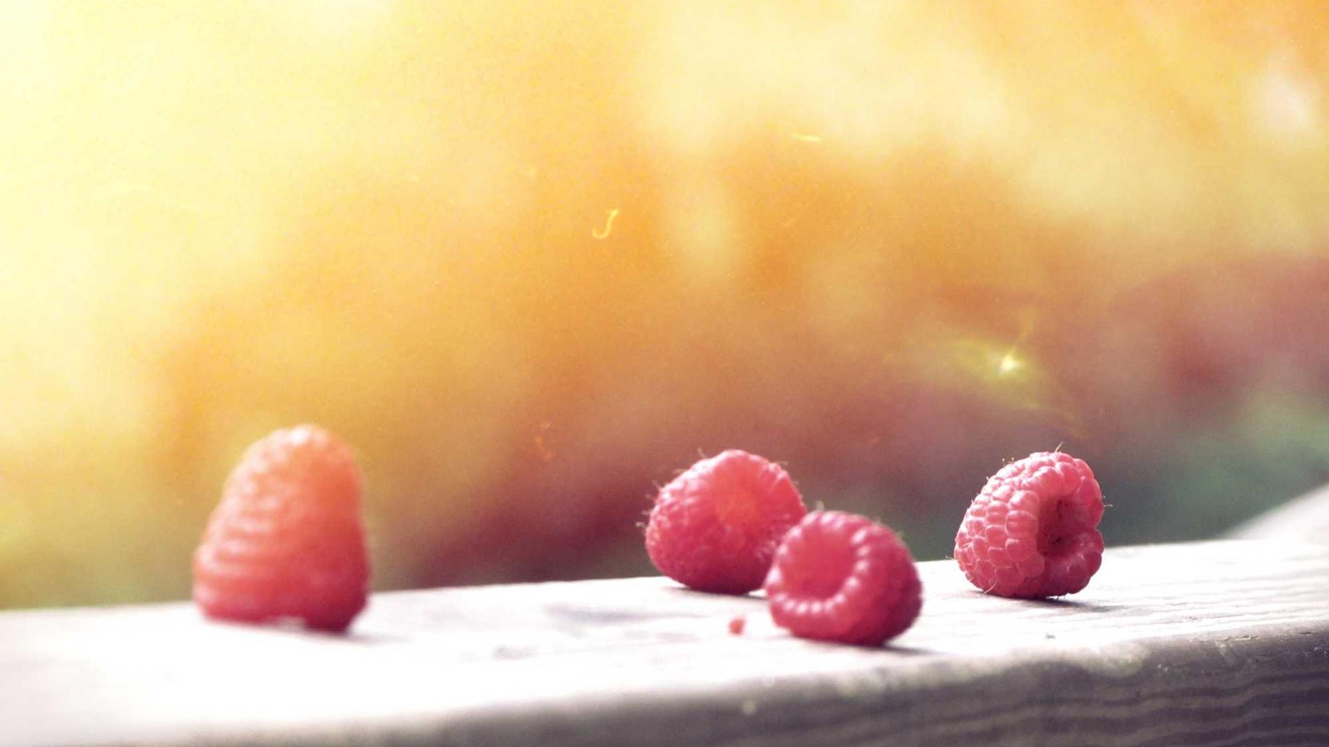 Rerum sed dolor omnis illo