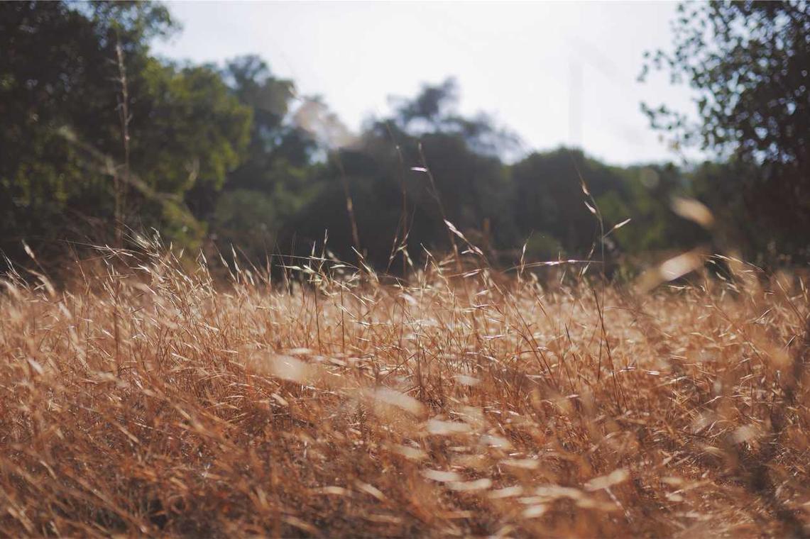 Voluptatem vitae saepe possimus eius eos aspernatur aut id tenetur ullam