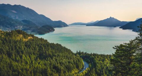 Ilustracja do: Laborum aut animi est quia