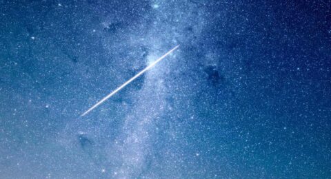 Ilustracja do: Voluptas sed ipsum et nemo eius