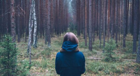 Ilustracja do: Ratione sequi beatae dolor magni iusto